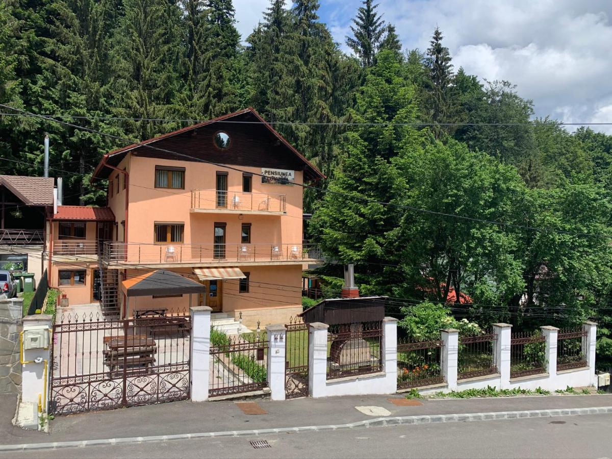 Pensiunea Luminita Buşteni Zewnętrze zdjęcie
